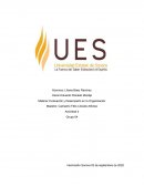 Evaluación y Desempeño en la Organización