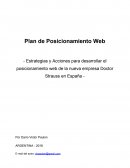 Plan de Posicionamiento Web - Estrategias y Acciones para desarrollar el posicionamiento web de la nueva empresa Doctor Strauss en España -