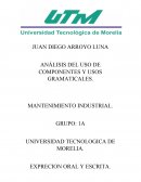 ANÁLISIS DEL USO DE COMPONENTES Y USOS GRAMATICALES