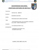 PROGRAMACIÓN ANUAL DE ACTIVIDADES LABORALES DE LA JASS – TARICÁ, PERIODO 2019