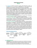 Trabajo Práctico de Psicología