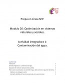 Contaminación del agua