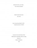 Medicina Preventiva y del Trabajo