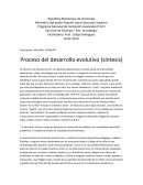 Proceso del desarrollo evolutivo (síntesis)