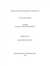 DIAGNOSTICO RIESGOS ERGONOMICOS Y PSICOSOCIALES. Página 1