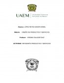 INFOGRAFIA DE PRODUCTOS Y SERVICIOS