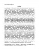 Los usos del neuromarketing