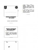 MANEJO INTEGRADO DE PLAGAS