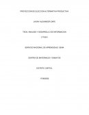 PROYECCION DE ELECCION ALTERNATIVA PRODUCTIVA