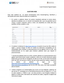 AUDITORÍA WEB. Página 1