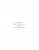 Análisis Comercial. Formulación y Evaluación de Proyectos