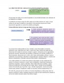 PREVENCIÓN DE CAIDAS EN PACIENTES HOSPITALIZADOS