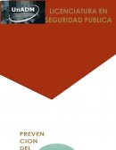 ¿Qué es la seguridad pública y cómo se relaciona con el Estado de Derecho?