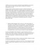 Informe participantes