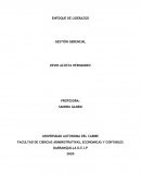 ENFOQUE DE LIDERAZGO . GESTIÓN GERENCIAL