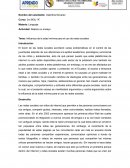 Influencia de la edad mínima para el uso de redes sociales