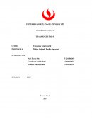 Economía Empresarial. Comercial S&C Castillo SRL