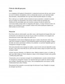 Ciclo de vida de un proyecto (carne asada)