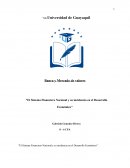 El Sistema Financiero Nacional y su incidencia en el Desarrollo Económico