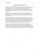 TRABAJO ARTICULACIONES ED. FISICA