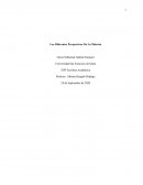 Las Diferentes Perspectivas De La Minería