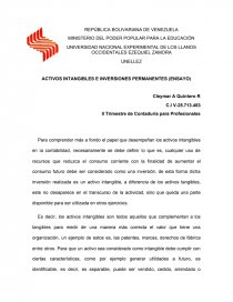 Activos intangibles e inversiones permanentes (ensayo). Página 1