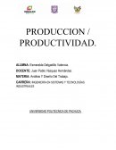 PRODUCCION / PRODUCTIVIDAD