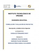 Descripción y Análisis de los Impactos