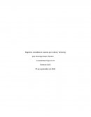 Registros contables de cuentas por cobrar y factoring . Empresa “Las Palmeras”