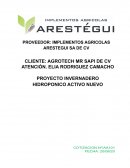 Modelo de Negocios INVERNADERO HIDROPONICO