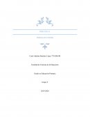 Didáctica de la medida práctica 4