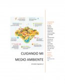 CUIDANDO MI MEDIO AMBIENTE