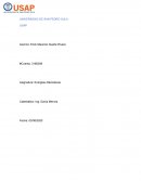 Proyectos electricos en Honduras