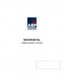 SEGVEGETAL “ALIMENTO SEGURO A TU HOGAR”