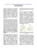 PROCESO DE TRADUCCION EN PROCARIOTAS Y EUCARIOTAS