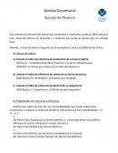 Ejercicio de Eficiencia