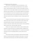 LA EXPERIENCIA DE JOÃO CARLOS SILVA