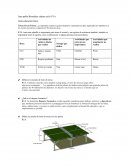 Guía educación física