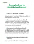 Concepto de la identidad profesional