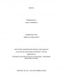 SISTEMA DE GESTIÓN DE SALUD OCUPACIONAL Y SEGURIDAD INDUSTRIAL ISO 45001