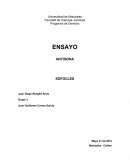 ENSAYO ANTIGONA SÓFOCLES