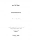 Análisis de caso Película “Mejor Imposible”