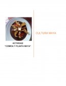 Actividad “Comida y planta maya” Cultura maya