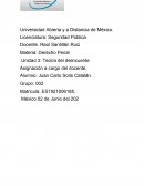 SEGURIDAD PÚBLICA. Teoría del delincuente