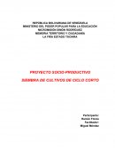 PROYECTO SOCIO-PRODUCTIVO SIEMBRA DE CULTIVOS DE CICLO CORTO
