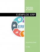 Ejemplos de ERP