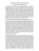 La Tortuga: Un dilema de nunca acabará