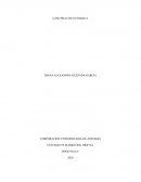 Caso Práctico Tercera Unidad MARKETING DIGITAL