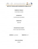 ERGONOMIA. SISTEMA HOMBRE MAQUINA