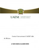 HISTORIA ECONÓMICA GENERAL